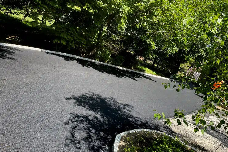 Commercial asphalt paving project